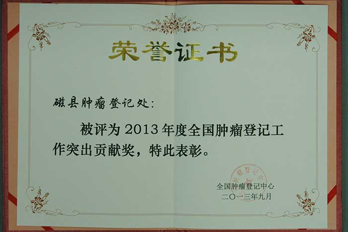 2013年全国肿瘤登记工作突出贡献奖